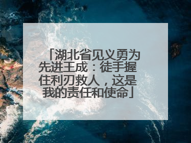 湖北省见义勇为先进王成：徒手握住利刃救人，这是我的责任和使命