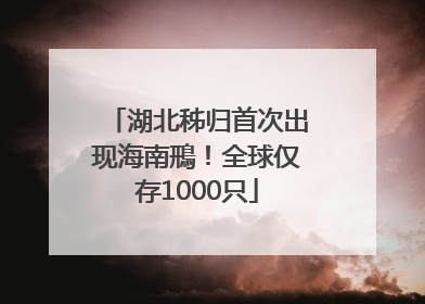 湖北秭归首次出现海南鳽！全球仅存1000只