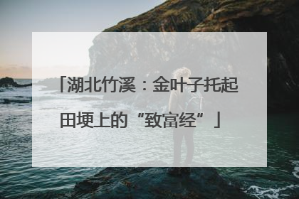 湖北竹溪：金叶子托起田埂上的“致富经”