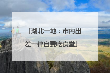 湖北一地：市内出差一律自费吃食堂