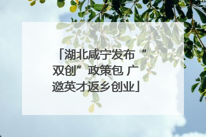 湖北咸宁发布“双创”政策包 广邀英才返乡创业