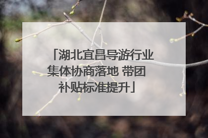 湖北宜昌导游行业集体协商落地 带团补贴标准提升