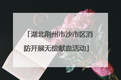 湖北荆州市沙市区消防开展无偿献血活动