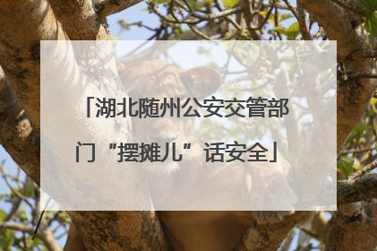 湖北随州公安交管部门“摆摊儿”话安全