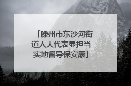 滕州市东沙河街道人大代表显担当实地督导保安康