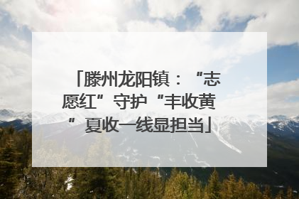 滕州龙阳镇：“志愿红”守护“丰收黄”夏收一线显担当