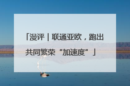漫评｜联通亚欧，跑出共同繁荣“加速度”