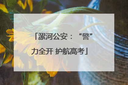 漯河公安：“警”力全开 护航高考