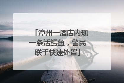 漳州一酒店内现一条活鳄鱼，警民联手快速处置