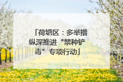 荷塘区：多举措纵深推进“禁种铲毒”专项行动