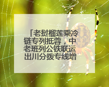 老挝榴莲乘冷链专列抵蓉，中老班列公铁联运出川分拨专线增至五条