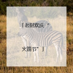 老挝欢庆“火箭节”