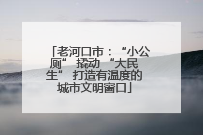 老河口市：“小公厕” 撬动 “大民生” 打造有温度的城市文明窗口