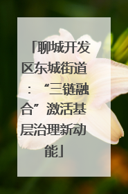 聊城开发区东城街道：“三链融合”激活基层治理新动能