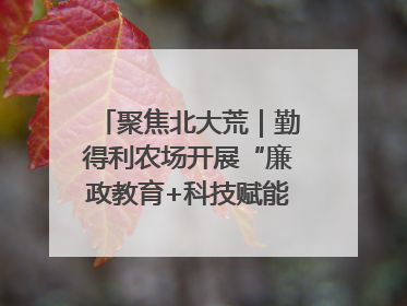 聚焦北大荒｜勤得利农场开展“廉政教育+科技赋能”主题党日活动