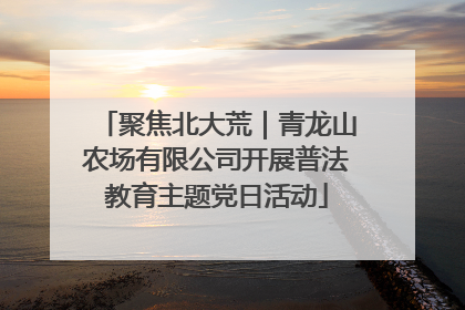 聚焦北大荒｜青龙山农场有限公司开展普法教育主题党日活动