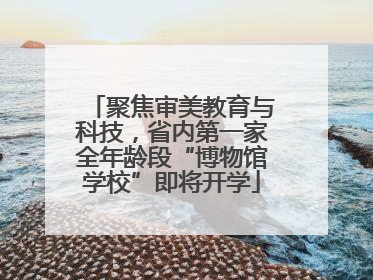 聚焦审美教育与科技，省内第一家全年龄段“博物馆学校”即将开学