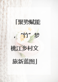 聚势赋能，“竹”梦桃江乡村文旅新蓝图