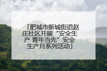 肥城市新城街道赵庄社区开展“安全生产 青年当先”安全生产月系列活动