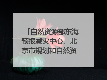 自然资源部东海预报减灾中心、北京市规划和自然资源委员会、广东省林业系统等正在招聘｜招聘信息
