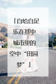 自给自足 乐在其中 城市里的空中“田园梦”