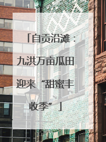 自贡沿滩：九洪万亩瓜田迎来“甜蜜丰收季”