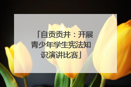 自贡贡井：开展青少年学生宪法知识演讲比赛