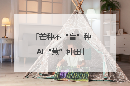 芒种不“盲”种 AI“慧”种田