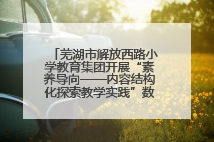 芜湖市解放西路小学教育集团开展“素养导向——内容结构化探索教学实践”数学专题研讨活动