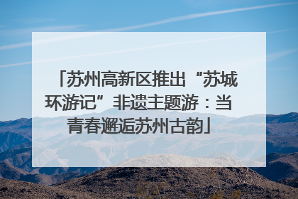 苏州高新区推出“苏城环游记”非遗主题游：当青春邂逅苏州古韵