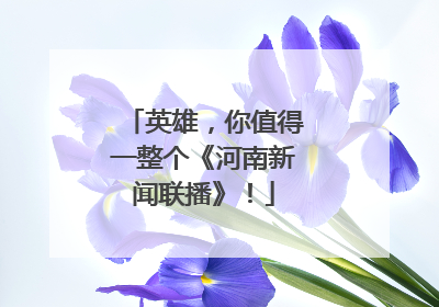 英雄，你值得一整个《河南新闻联播》！