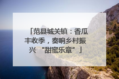 范县城关镇：香瓜丰收季，奏响乡村振兴 “甜蜜乐章”