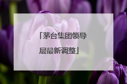 茅台集团领导层最新调整