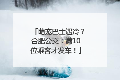 萌宠巴士遇冷？合肥公交：满10位乘客才发车！