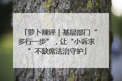 萝卜辣评｜基层部门“多行一步”，让“小诉求”不缺席法治守护