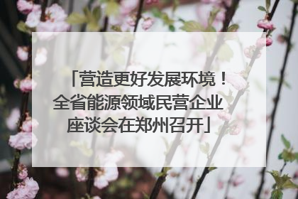 营造更好发展环境！全省能源领域民营企业座谈会在郑州召开