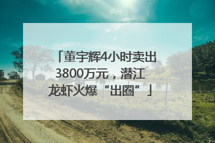董宇辉4小时卖出3800万元，潜江龙虾火爆“出圈”