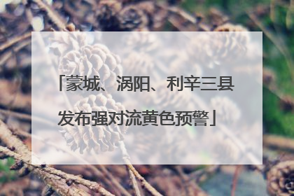 蒙城、涡阳、利辛三县发布强对流黄色预警