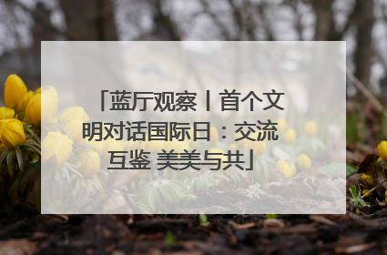 蓝厅观察丨首个文明对话国际日：交流互鉴 美美与共