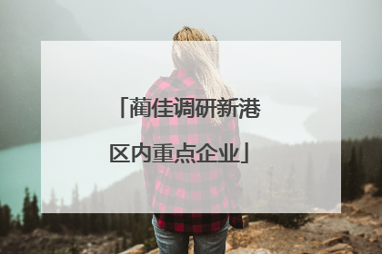 蔺佳调研新港区内重点企业