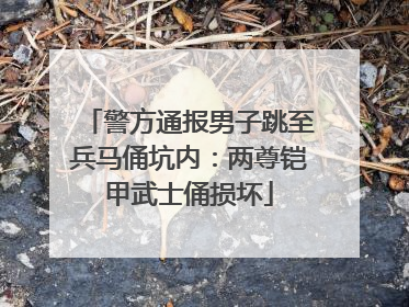 警方通报男子跳至兵马俑坑内：两尊铠甲武士俑损坏