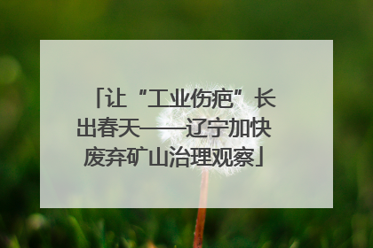 让“工业伤疤”长出春天——辽宁加快废弃矿山治理观察