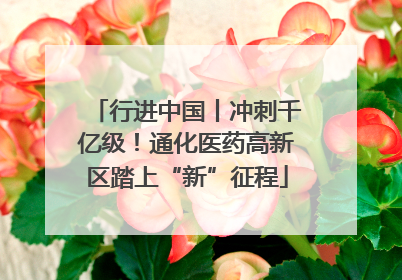 行进中国丨冲刺千亿级！通化医药高新区踏上“新”征程
