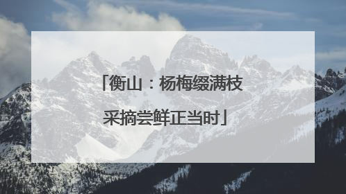 衡山：杨梅缀满枝 采摘尝鲜正当时