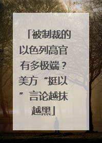 被制裁的以色列高官有多极端？美方“挺以”言论越抹越黑