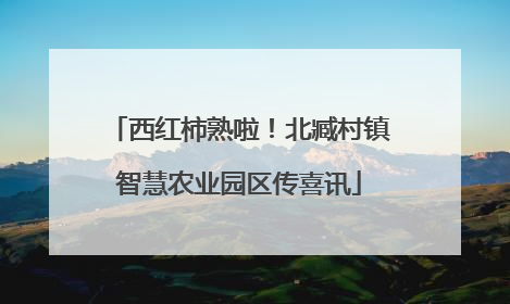 西红柿熟啦！北臧村镇智慧农业园区传喜讯