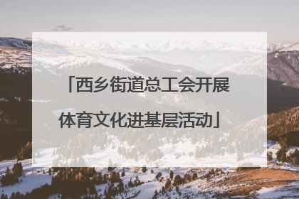西乡街道总工会开展体育文化进基层活动