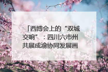 西博会上的“双城交响”：四川六市州共展成渝协同发展画卷｜西博视界