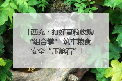 西充：打好夏粮收购“组合拳” 筑牢粮食安全“压舱石”