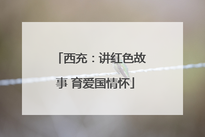 西充：讲红色故事 育爱国情怀
